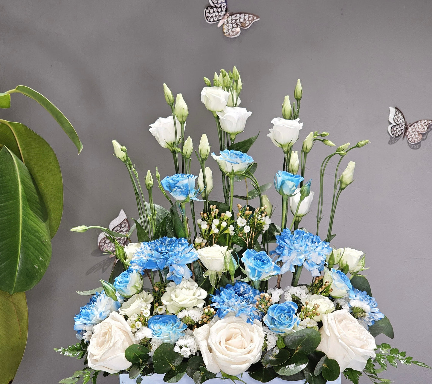 Hope Blue