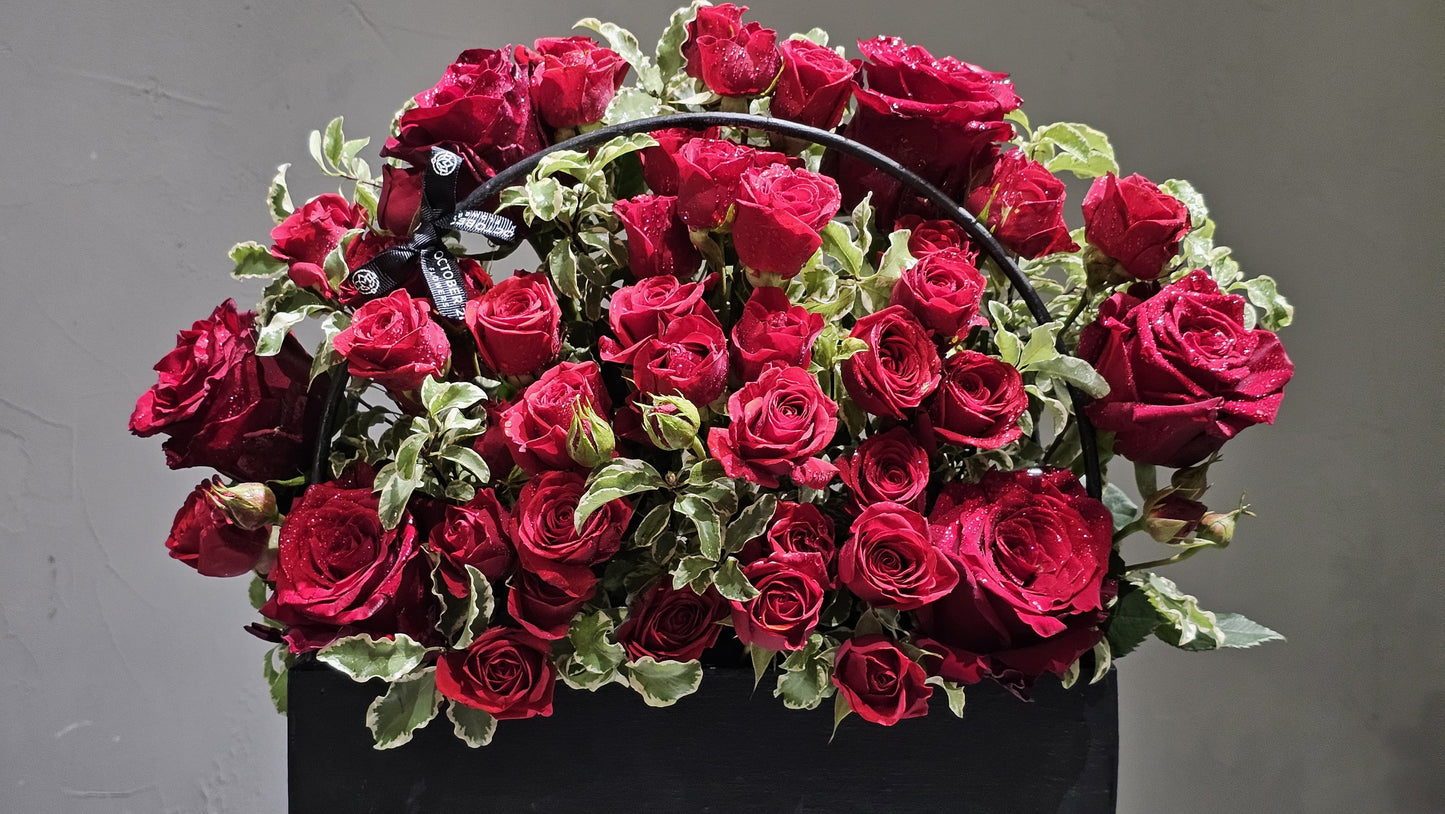 Velvet Rose