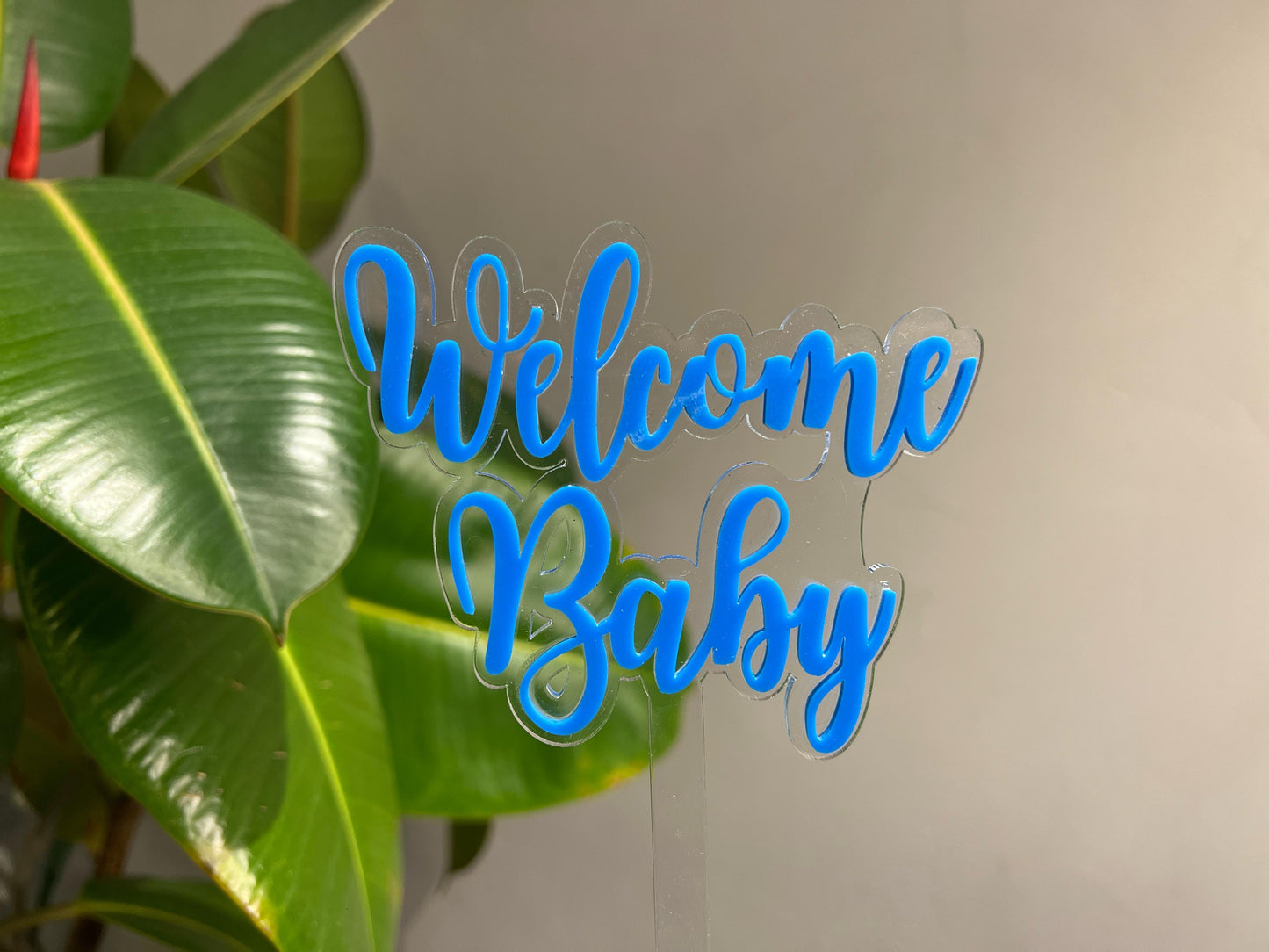Welcome Baby Blue