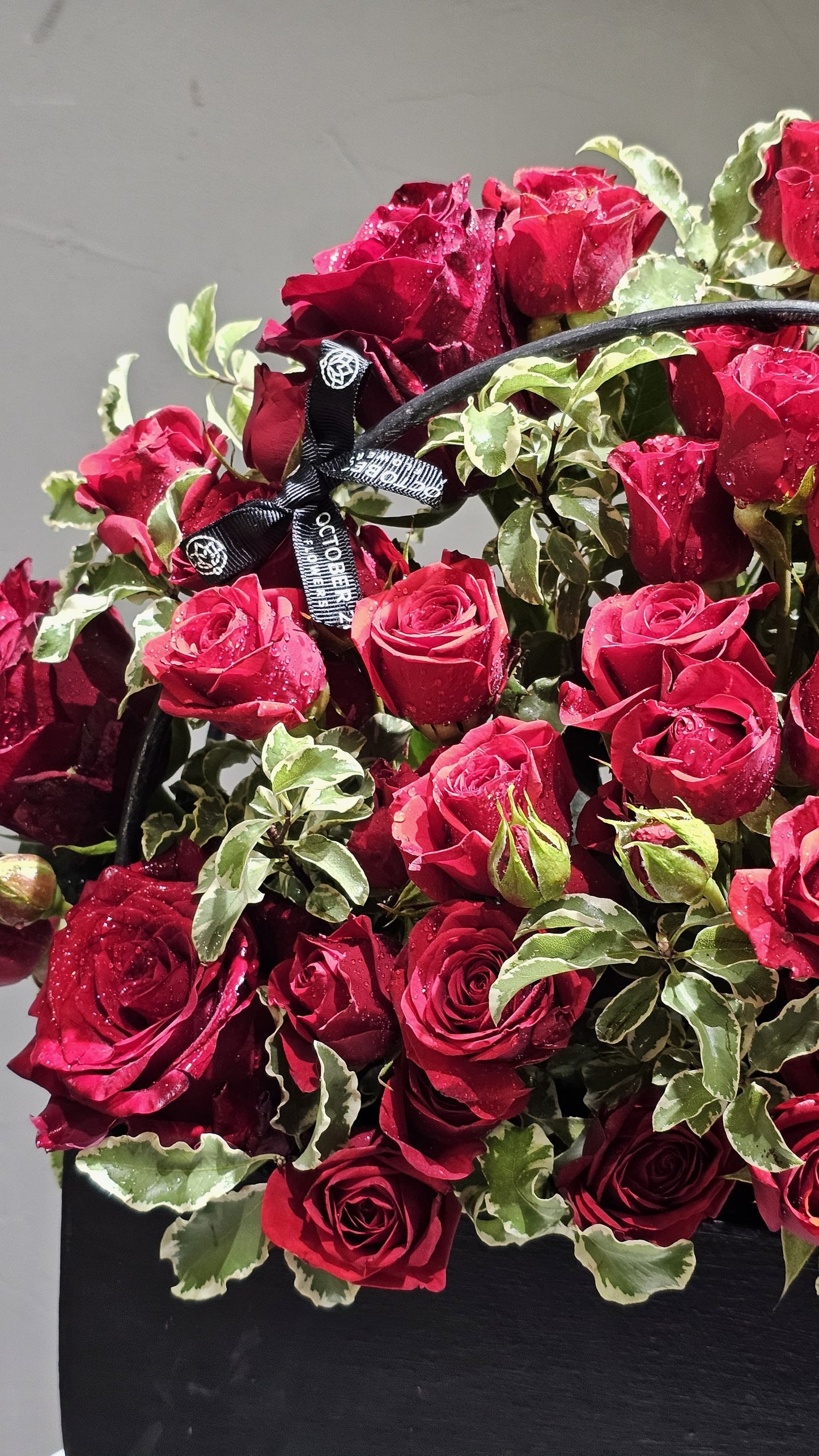 Velvet Rose