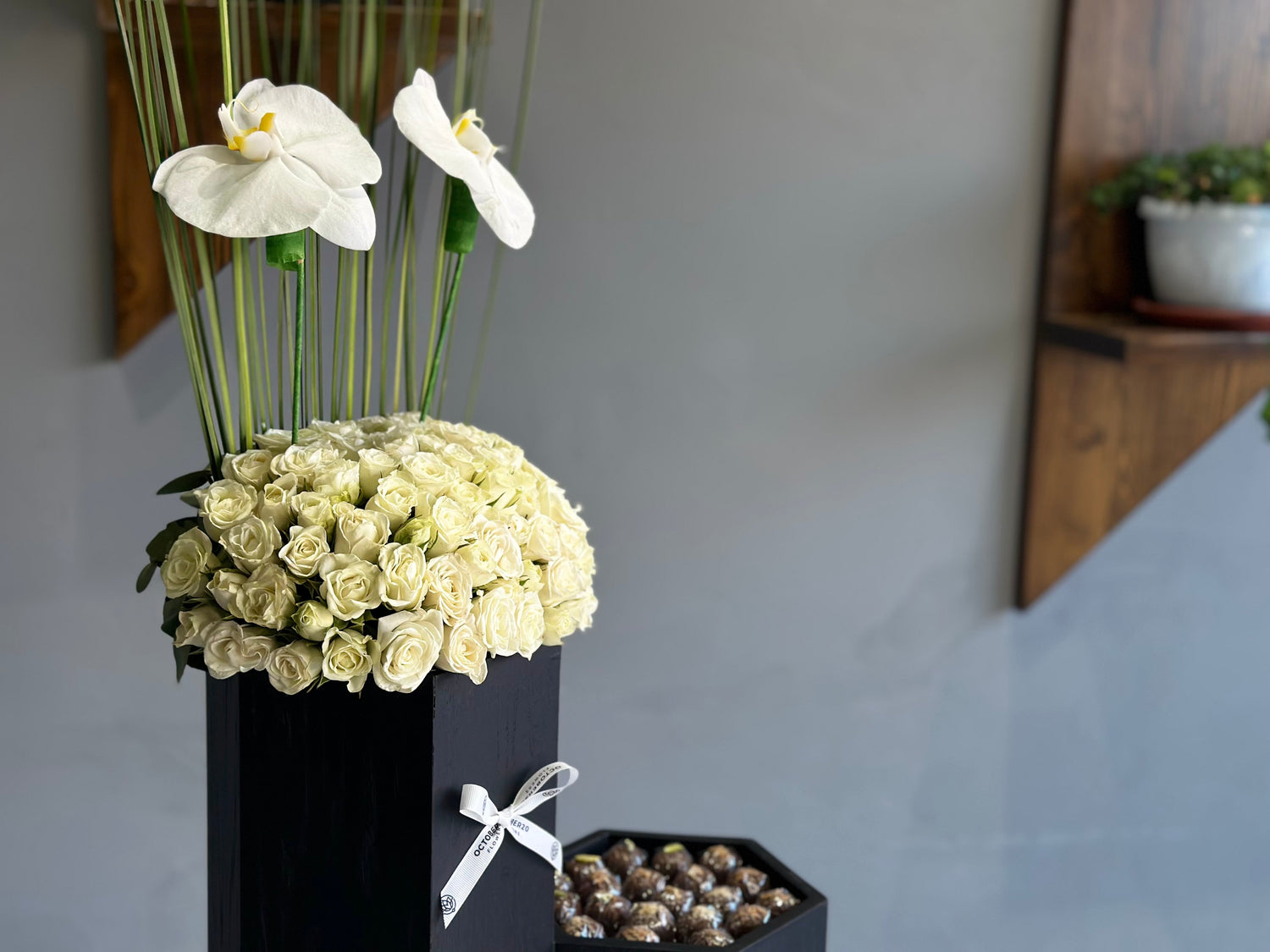 Masarra Collection