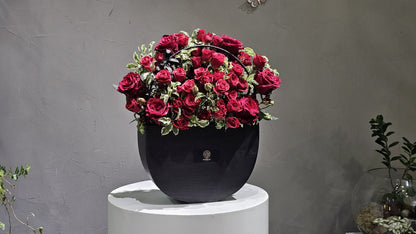 Velvet Rose