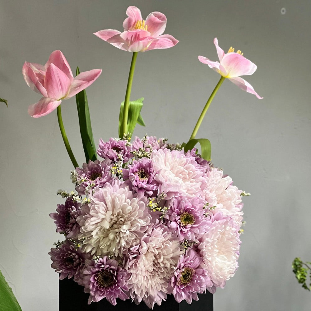 Mellow Blooms