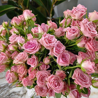 Pink Heart