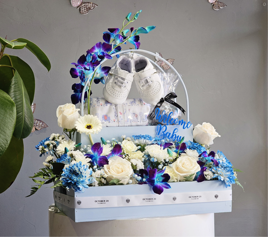 Farha Blue