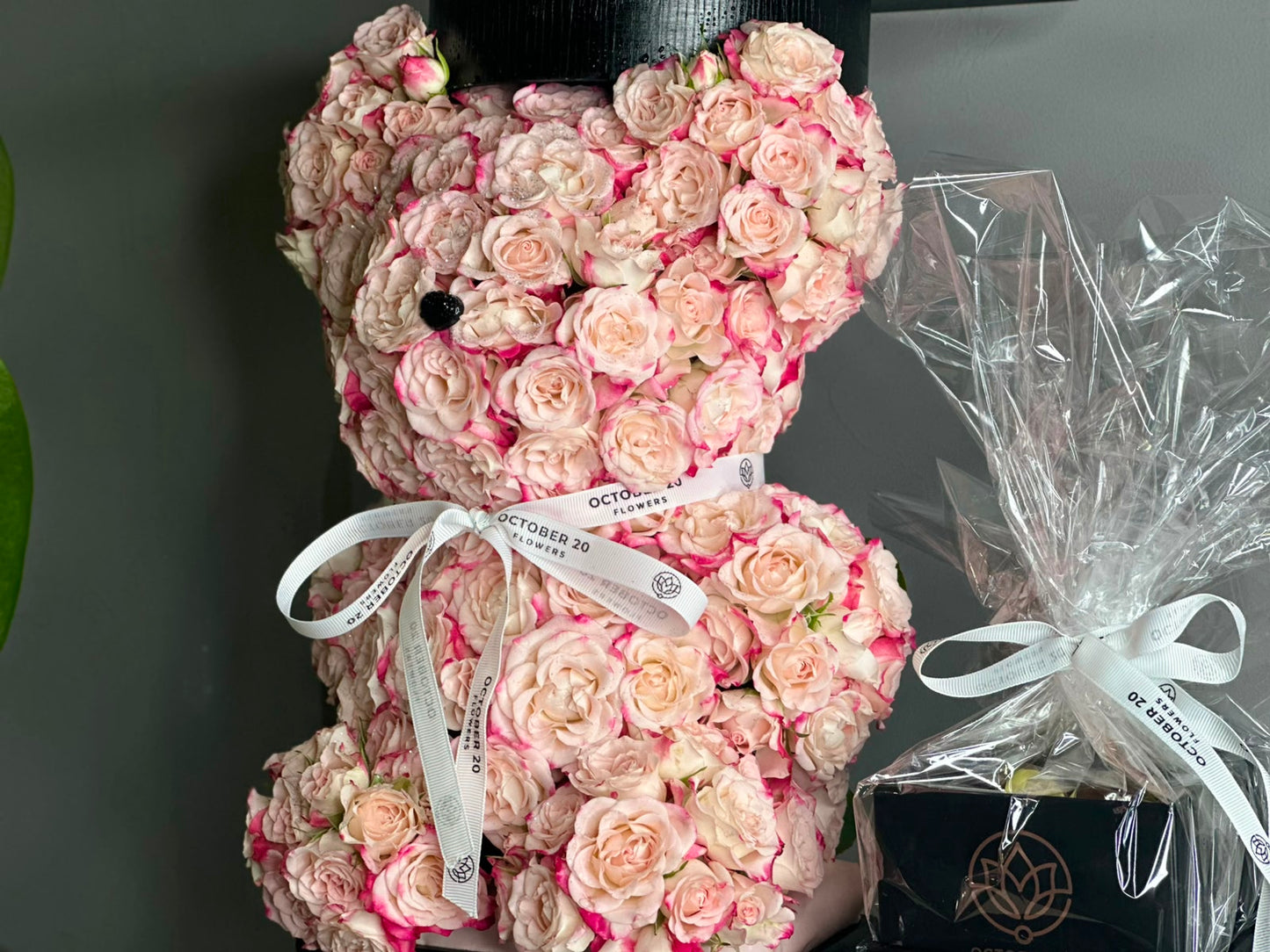 Graduation Teddy Pink