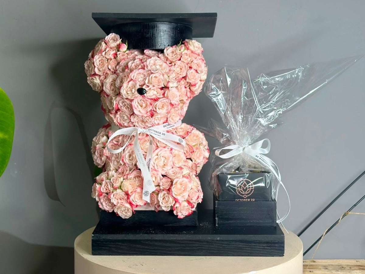 Graduation Teddy Pink
